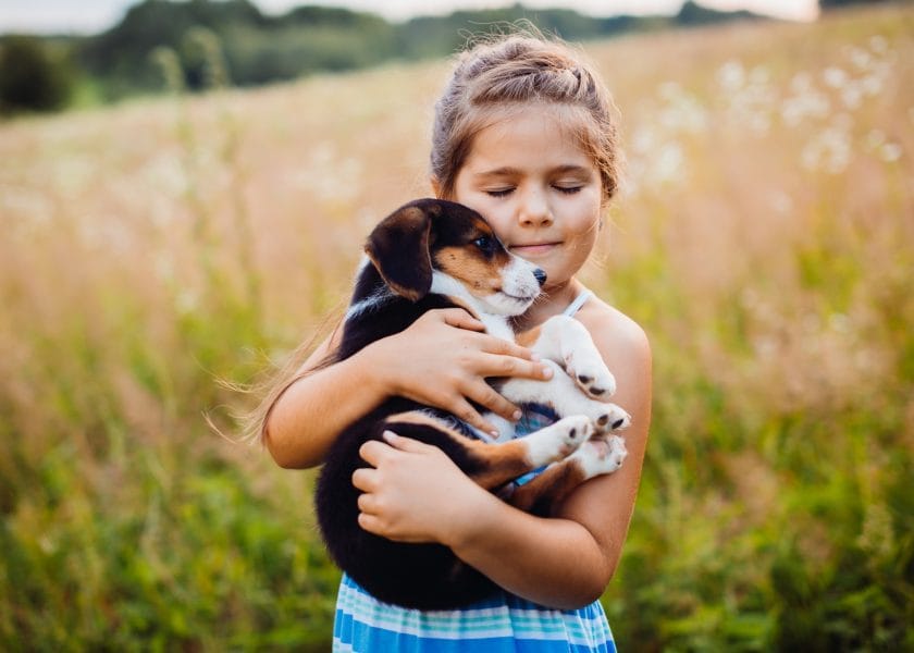 Little girl holds a puppy on her arms