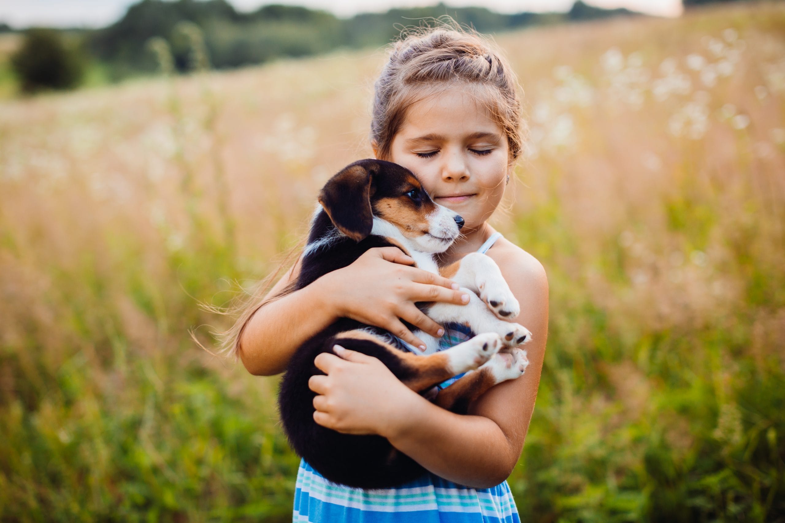 Little girl holds a puppy on her arms